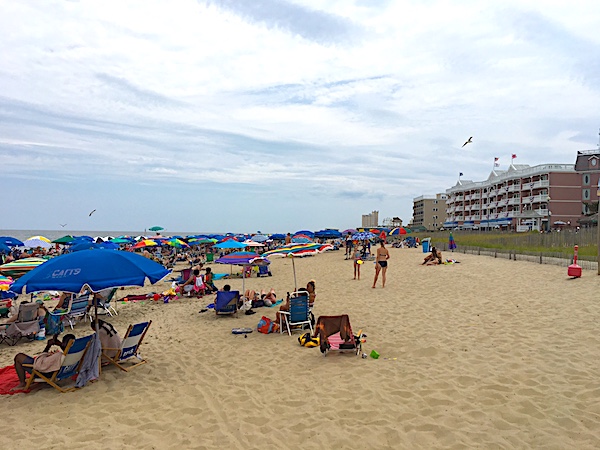 Relax on the beach between the Atlantic Ocean and boardwalk hotels