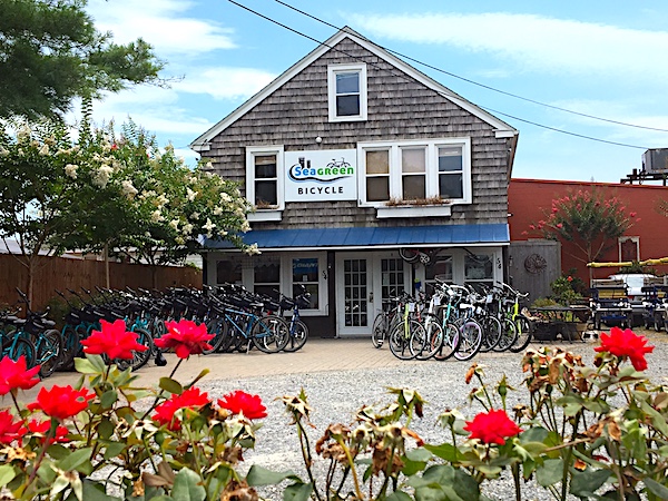 Rent bikes to explore the paved paths in Cape Henlopen State Park